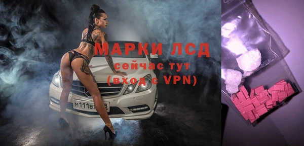спиды Новозыбков