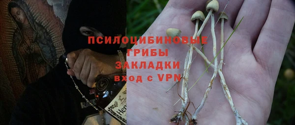 бошки Армянск