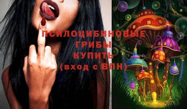 бошки Армянск