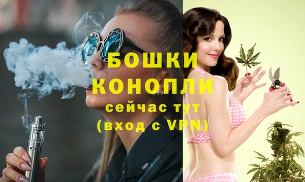 PSILOCYBIN Няндома