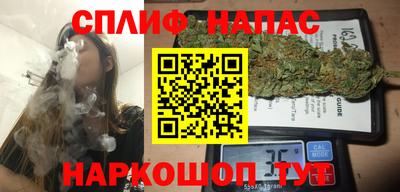 прущие грибы Обнинск