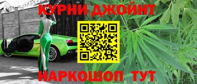прущие грибы Обнинск