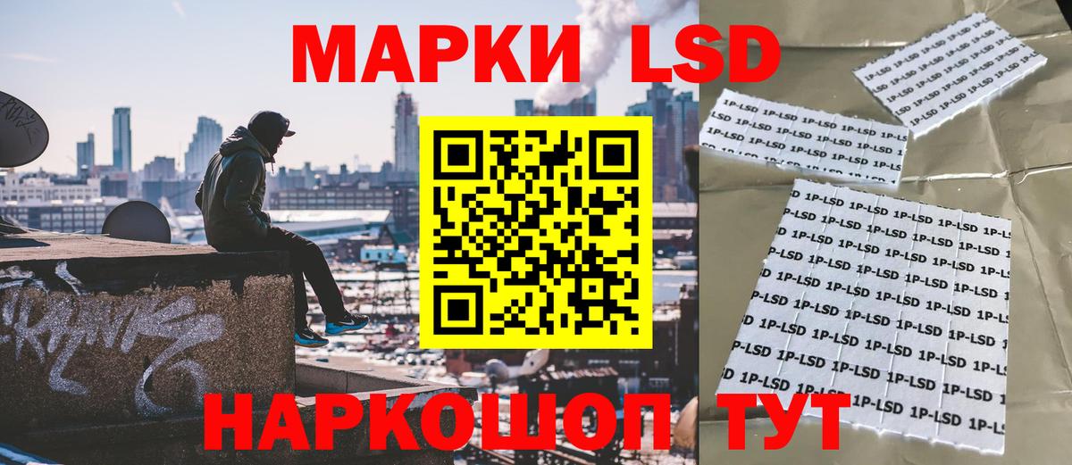 Конопля Черняховск