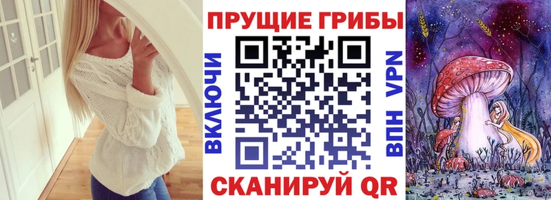 Псилоцибиновые грибы MAGIC MUSHROOMS купить Черняховск