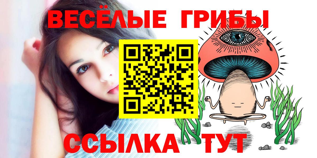 Псилоцибиновые грибы Psilocybine cubensis  Галлюциногенные грибы GOLDEN TEACHER  Черняховск  Вход с VPN 