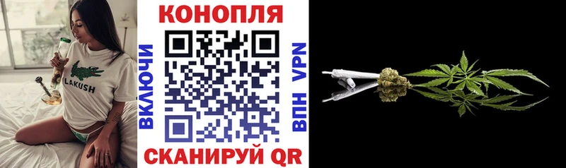 дарнет шоп Черняховск Марихуана индика
